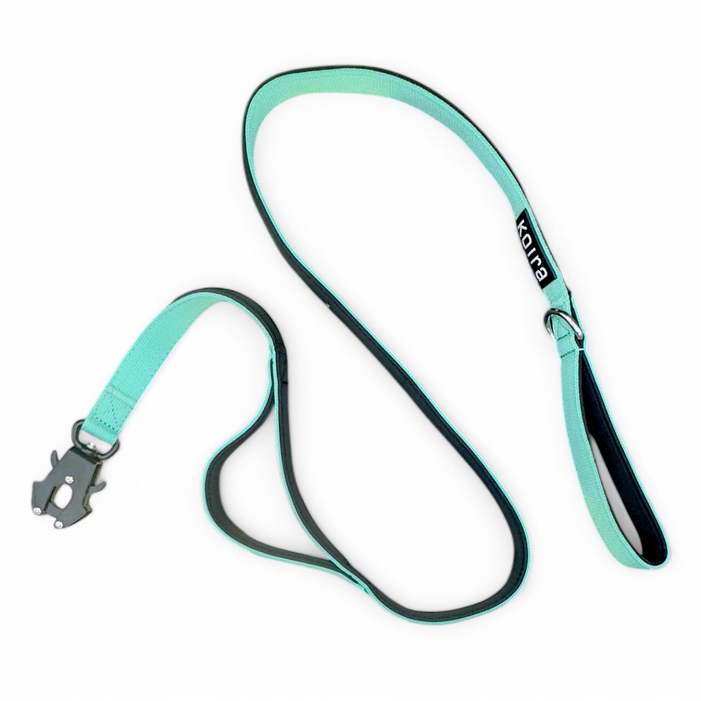 Mint Dual-Handle 5 ft Dog Leash