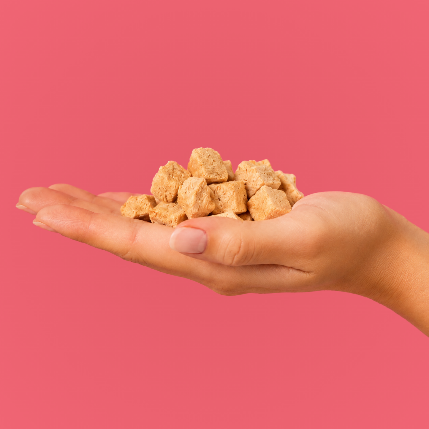 Freeze-dried Salmon Dog Treats