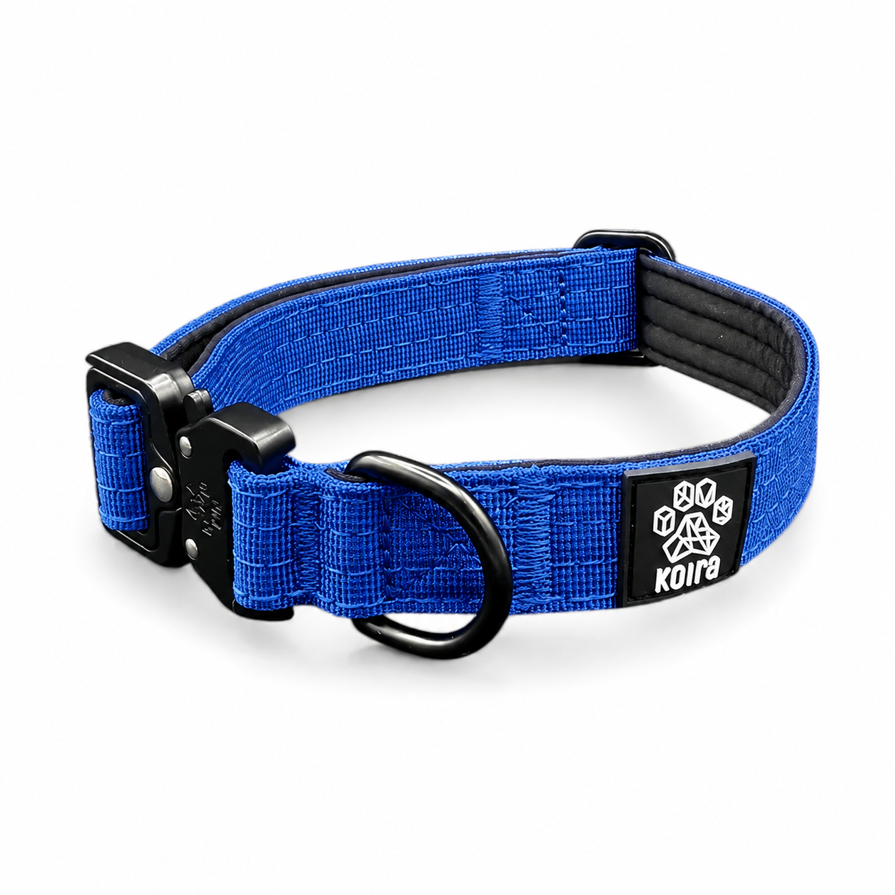 Durable Blue Nylon Dog Collar with Metal Buckle