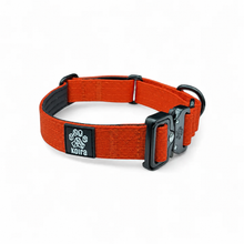 Orange Koira Martingale Dog Collar – Essential Line