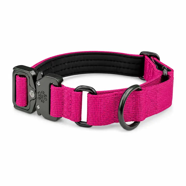 Pink Koira Martingale Dog Collar – Essential Line