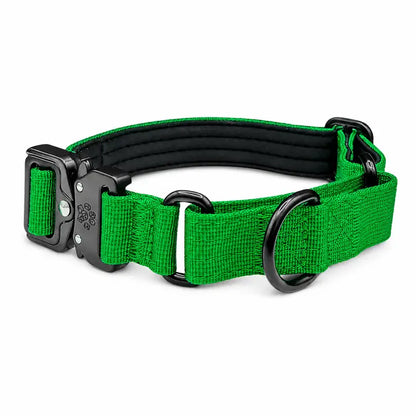 Green Koira Martingale Dog Collar – Essential Line