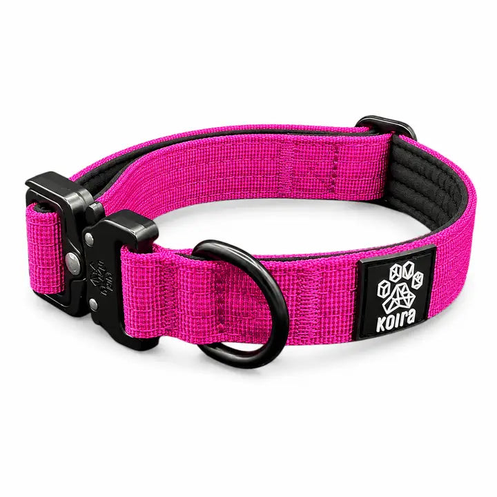 Durable Pink Nylon Dog Collar with Metal Buckle