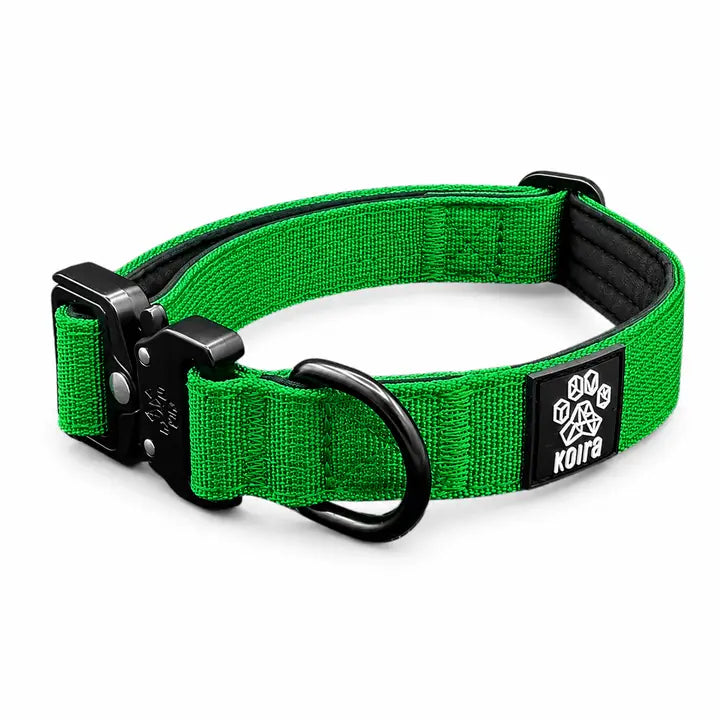 Durable Green Nylon Dog Collar with Metal Buckle
