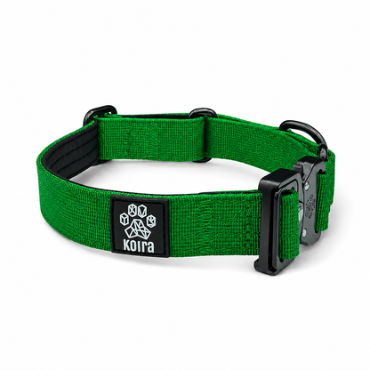 Green Koira Martingale Dog Collar – Essential Line
