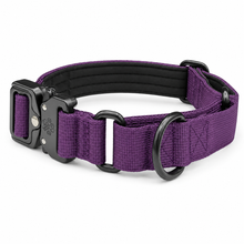 Purple Koira Martingale Dog Collar – Essential Line