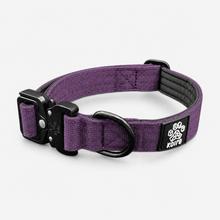 Durable Purple Nylon Dog Collar with Metal Buckle