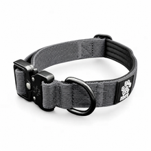 Durable Gray Nylon Dog Collar with Metal Buckle