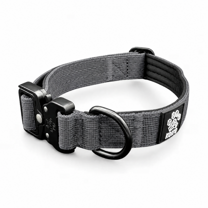 Durable Gray Nylon Dog Collar with Metal Buckle
