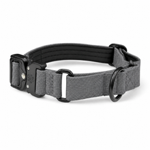Gray Koira Martingale Dog Collar – Essential Line