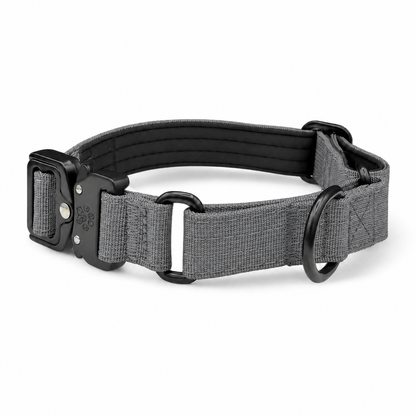 Gray Koira Martingale Dog Collar – Essential Line