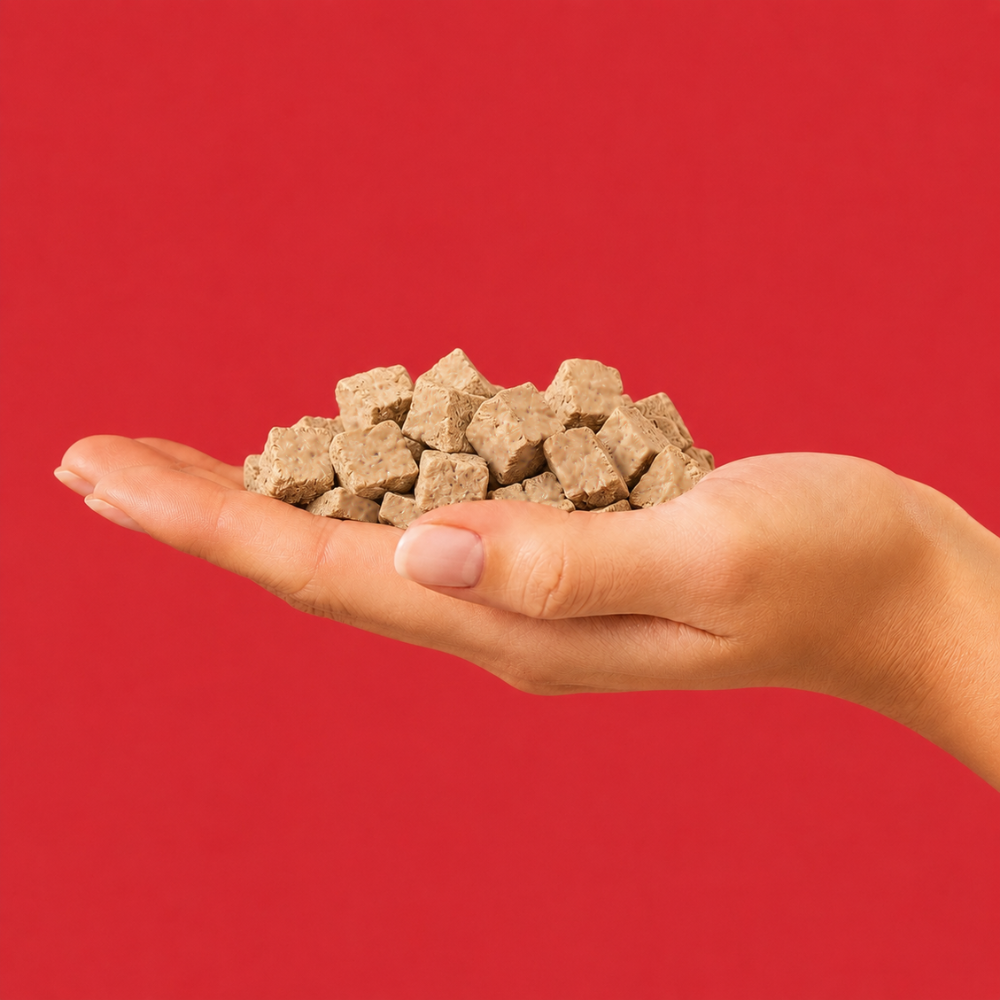 Freeze-Dried Beef Liver Dog Treats