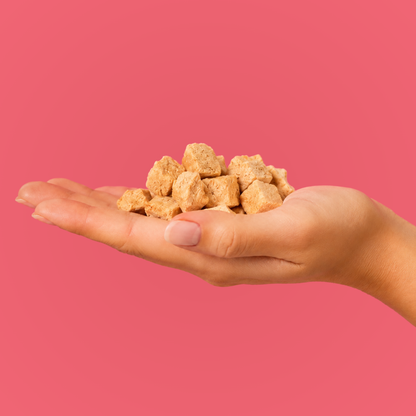 Freeze-dried Salmon Dog Treats