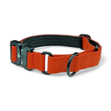 Orange Koira Martingale Dog Collar – Essential Line