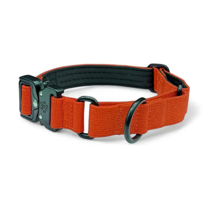 Orange Koira Martingale Dog Collar – Essential Line