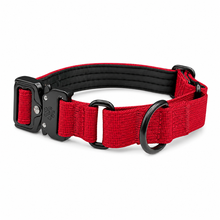 Red Koira Martingale Dog Collar – Essential Line
